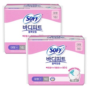 바디피트 볼록맞춤 생리대 날개형, 대형, 16개입, 2개