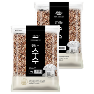 더담은 맛있는 수수, 1kg, 2개