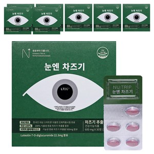 뉴트립 눈엔 차즈기 600 mg, 30정, 8개