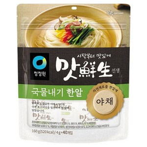 맛선생 야채 국물내기 한알 40개입, 160g, 1개