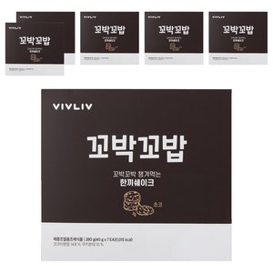 비브리브 꼬박꼬밥 체중조절용 조제식품 초코, 40g, 42개