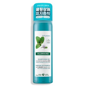 클로란 아쿠아민트 쿨세범 드라이샴푸, 150ml, 1개