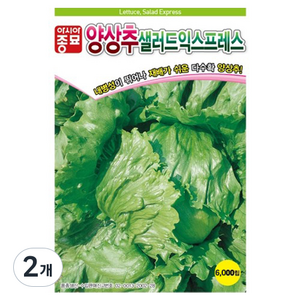 아시아종묘 양상추 샐러드 익스프레스 씨앗 LMV FREE 6000p, 2개