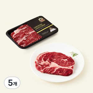서티파이드앵거스비프 미국산 CAB 앵거스 척아이롤(냉장), 150g, 5개