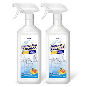 DASH 워터팝 물때 클리너, 750ml, 2개