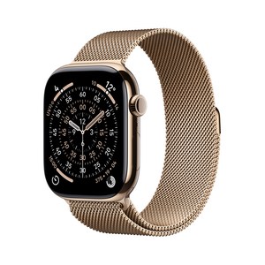 Apple 2025 애플워치 시리즈 11, 골드, 46mm, GPS+Cellular, 티타늄,골드/골드 밀레니즈 루프, S/M