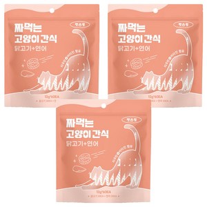 펫스윗 짜먹는 고양이 간식 60p, 혼합맛(닭고기/연어), 720g, 3개
