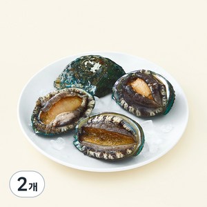 어부심 국내산 활전복 왕특대 (냉장), 500g 내외(4미), 2개