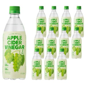 클룹 애사비소다 샤인머스캣 제로 탄산음료, 500ml, 12개