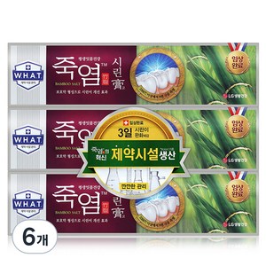 죽염 시린고 치약, 120g, 6개
