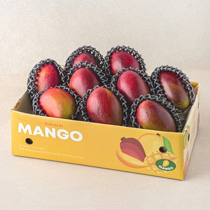 수플린 브라질산 애플망고 실속세트 8~9개입, 3.5kg, 1박스 골드박스 특가