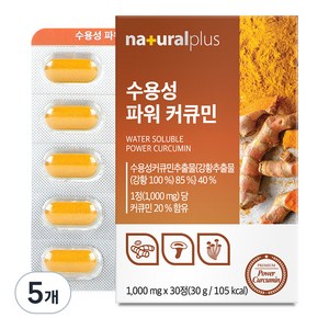 내츄럴플러스 수용성 파워 커큐민, 30정, 5개