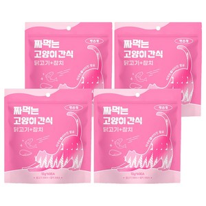 펫스윗 짜먹는 고양이 간식 60p, 혼합맛(닭고기/참치), 720g, 4개