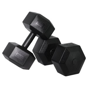 벨리카 홈짐 베이직 육각 덤벨 블랙 DB-01, 10kg, 2개