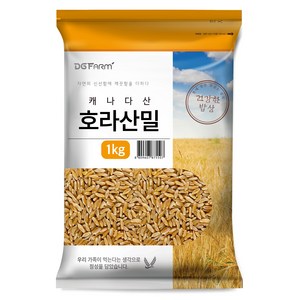 건강한밥상 호라산밀, 1kg, 1개