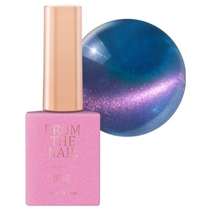 프롬더네일 MAGNET 젤네일, FG198, 10g, 1개