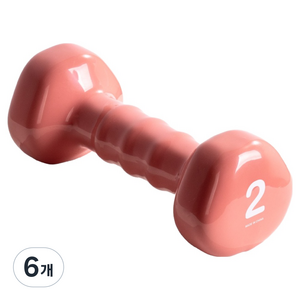아이워너 PVC 삼각 아령, 2kg, 6개