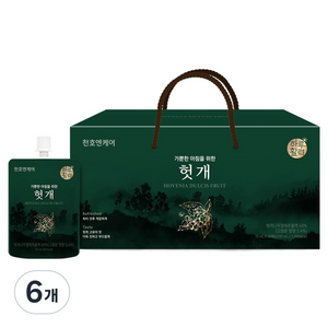 하루활력 가뿐한 아침을 위한 헛개즙, 2.1L, 6개