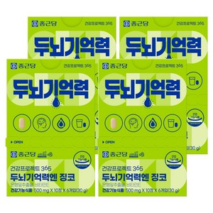 종근당 건강프로젝트365 두뇌기억력엔 징코 5g, 24개, 10정