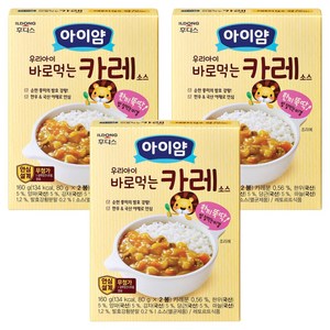 아이얌 우리아이 바로 먹는 소스, 카레, 160g, 3개