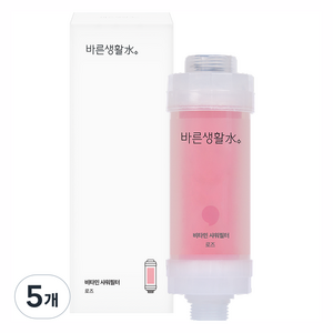 바른생활수 비타민 샤워필터, 5개, 로즈
