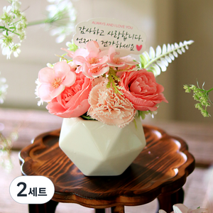 센트바스켓 조화 블러썸 실크플라워 비누꽃 카네이션 센터피스 + LED조명 + 캐리어박스 + 토퍼 + 용돈봉투 세트, 핑크, 2세트