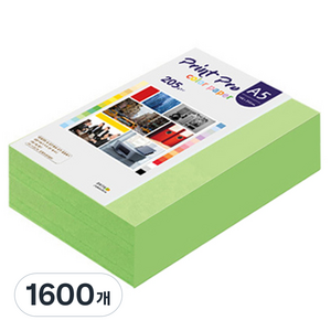 종이문화 프린트 프로 두꺼운 칼라복사지 205g No.12 그린, A5, 1600개
