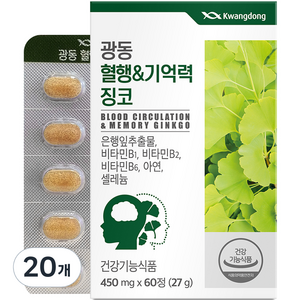 광동 혈행&기억력 징코, 60정, 20개