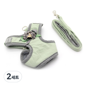펫나인 반려동물 플라워 하네스세트 S, 그린, 2세트