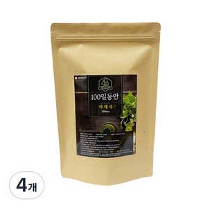 정앤정 100일동안 삼각티백 마테차, 1.2g, 100개입, 4개