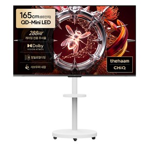 더함 4K UHD 구글 5.0 이동식 288Hz 스마트TV 패키지, 165cm(65인치), UA651MINILED N10S Google5.0 288Hz, 이동형 스탠드, 방문설치