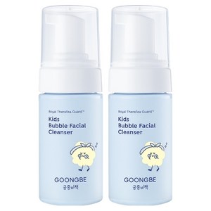 궁중비책 버블 페이셜 클렌저, 100ml, 2개