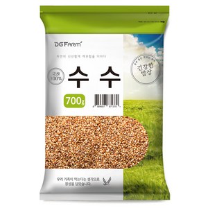 대구농산 국산 찰수수, 700g, 1개