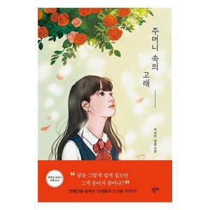 주머니 속의 고래 장편소설, 밤티, 이금이