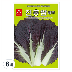 아시아종묘 진홍쌈 배추 씨앗, 6개