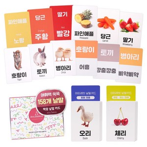 생생한 한글 영어 짝꿍 낱말카드, 프리미엄, 아띠래빗