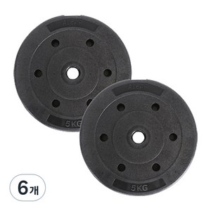 아리프 플렉스 원판, 5kg, 6개