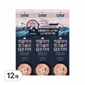 히말라야핑크솔트 담은 치약 플로럴, 100g, 12개