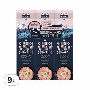 히말라야핑크솔트 담은 치약 플로럴, 100g, 9개