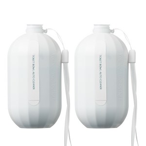 민티드 자동변기 세정제, 300g, 2개
