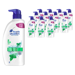헤드앤숄더 두피 토탈 솔루션 샴푸 쿨 멘솔, 850ml, 12개