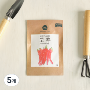 프레시가든 프리미엄 채소씨앗 피알 노나다 고추, 단품, 5개