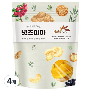 넛츠피아 건망고 슬라이스, 4개, 150g
