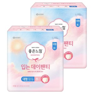 좋은느낌 입는 데이팬티 생리대, 대형, 8개입, 2개