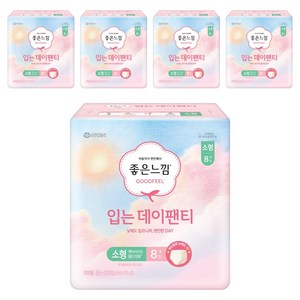 좋은느낌 입는 데이팬티, 소형, 8개입, 5개