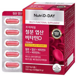 뉴트리디데이 프리미엄 철분 엽산 비타민D 30g, 60정, 1개