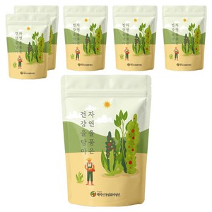 자연닮음 국내산 부지깽이 나물, 6개, 100g