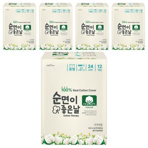 샐리의법칙 순면이 좋은날 생리대 날개형, 중형, 12개입, 5개