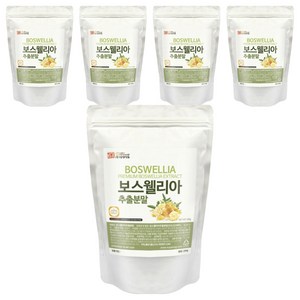 갑당약초 보스웰리아추출분말 실속형 지퍼백, 5개, 200g