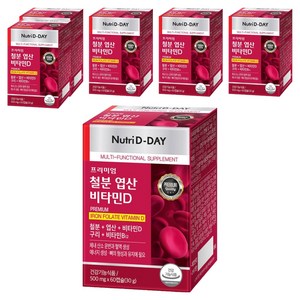 뉴트리디데이 프리미엄 철분 엽산 비타민D 30g, 60정, 6개